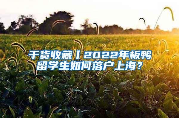 干货收藏丨2022年板鸭留学生如何落户上海？