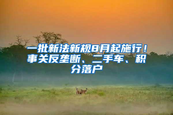 一批新法新规8月起施行！事关反垄断、二手车、积分落户