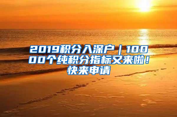 2019积分入深户｜10000个纯积分指标又来啦！快来申请