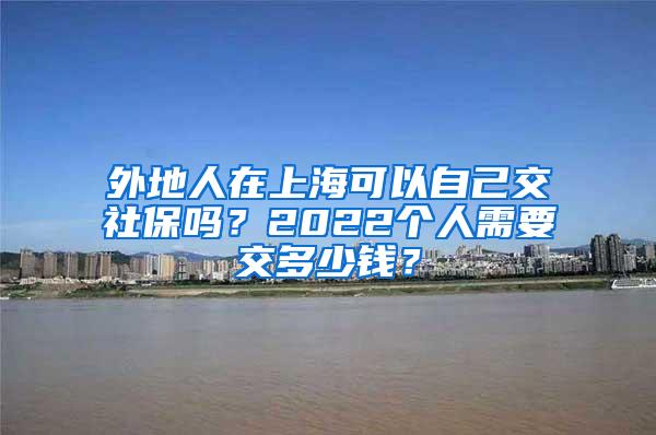 外地人在上海可以自己交社保吗？2022个人需要交多少钱？