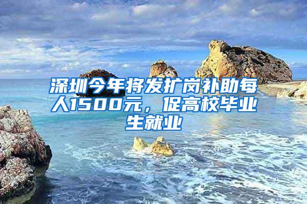 深圳今年将发扩岗补助每人1500元，促高校毕业生就业