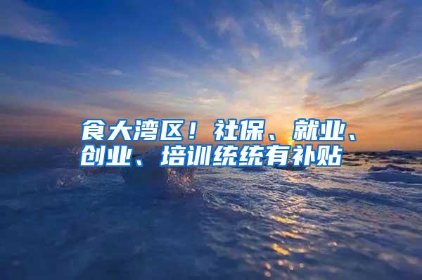 揾食大湾区！社保、就业、创业、培训统统有补贴