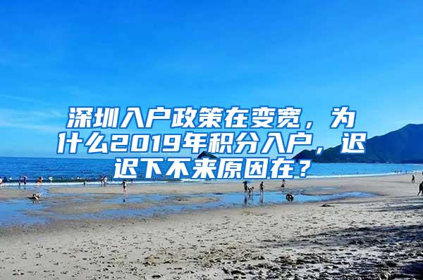 深圳入户政策在变宽，为什么2019年积分入户，迟迟下不来原因在？