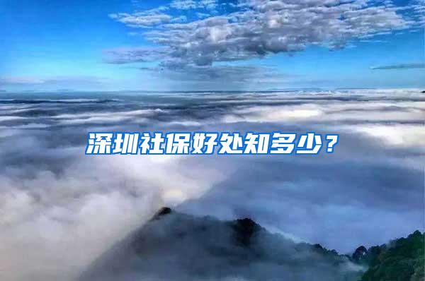 深圳社保好处知多少？