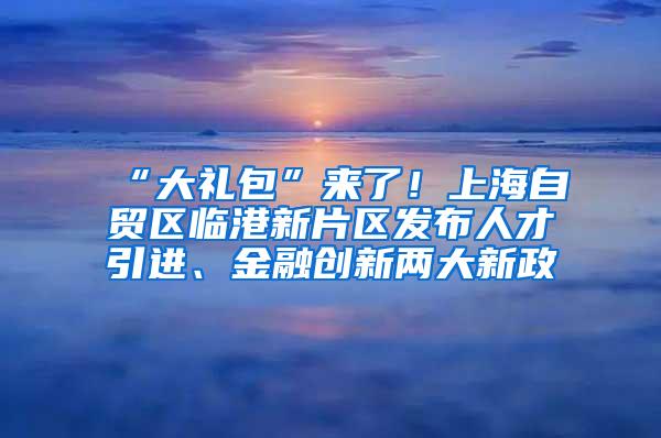 “大礼包”来了！上海自贸区临港新片区发布人才引进、金融创新两大新政