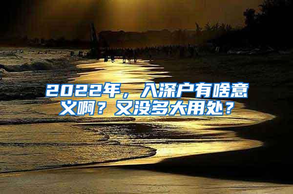 2022年，入深户有啥意义啊？又没多大用处？