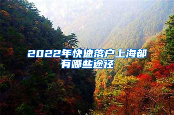 2022年快速落户上海都有哪些途径