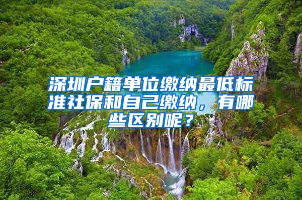 深圳户籍单位缴纳最低标准社保和自己缴纳，有哪些区别呢？