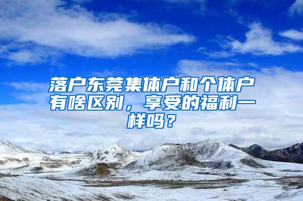 落户东莞集体户和个体户有啥区别，享受的福利一样吗？