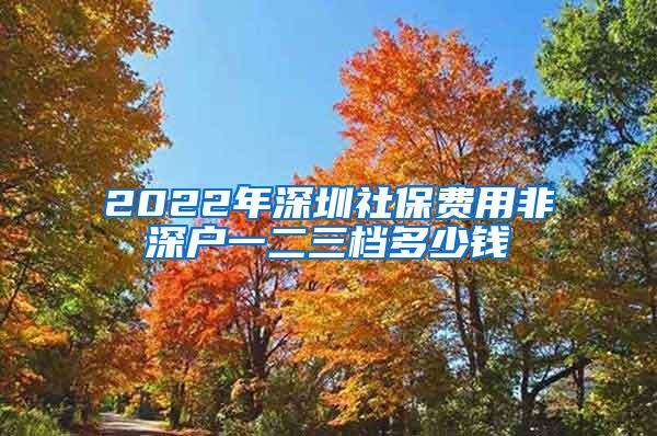 2022年深圳社保费用非深户一二三档多少钱