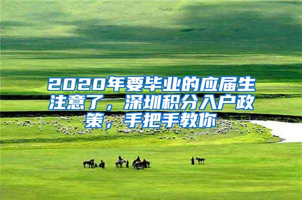 2020年要毕业的应届生注意了，深圳积分入户政策，手把手教你