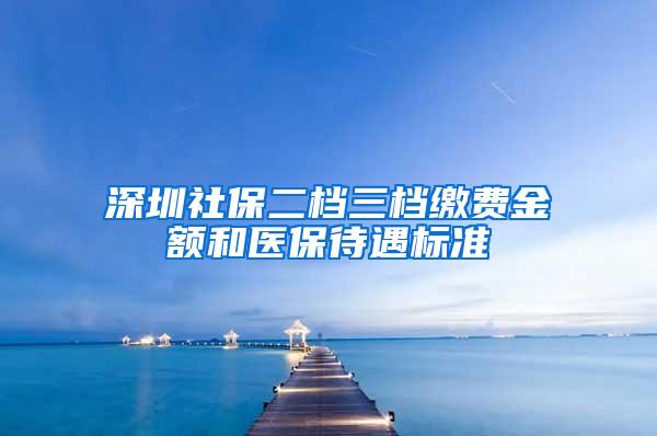 深圳社保二档三档缴费金额和医保待遇标准