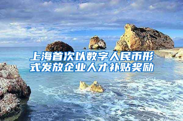 上海首次以数字人民币形式发放企业人才补贴奖励