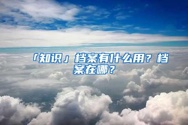 「知识」档案有什么用？档案在哪？