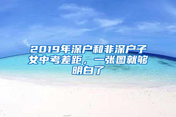 2019年深户和非深户子女中考差距，一张图就够明白了