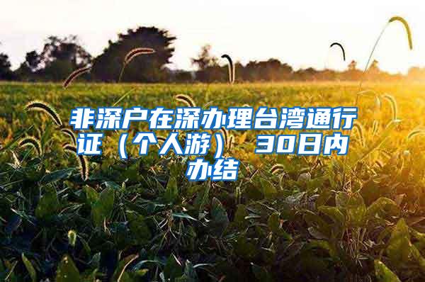 非深户在深办理台湾通行证（个人游） 30日内办结