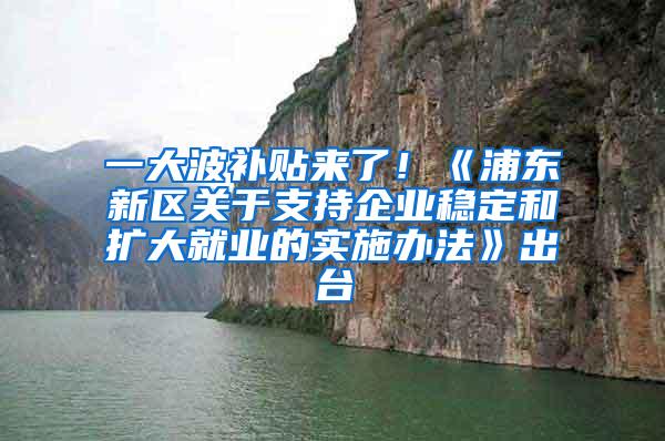 一大波补贴来了！《浦东新区关于支持企业稳定和扩大就业的实施办法》出台