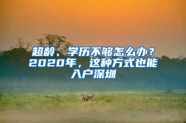 超龄、学历不够怎么办？2020年，这种方式也能入户深圳