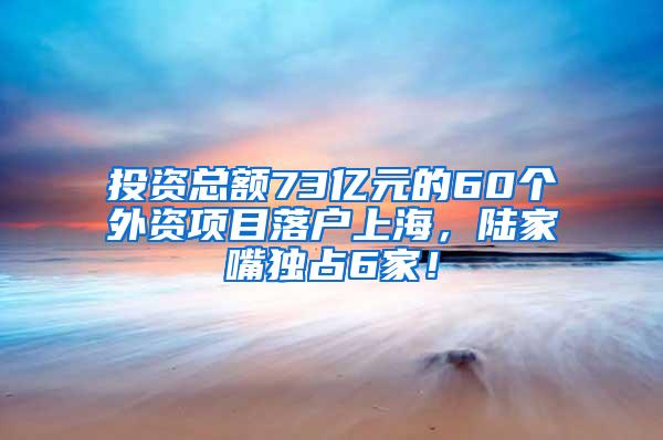 投资总额73亿元的60个外资项目落户上海，陆家嘴独占6家！