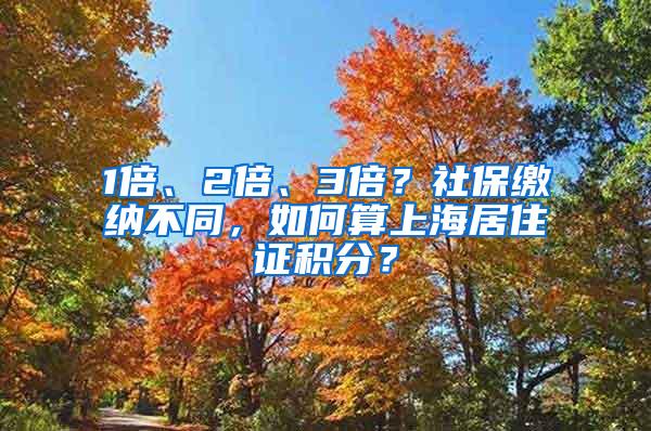 1倍、2倍、3倍？社保缴纳不同，如何算上海居住证积分？