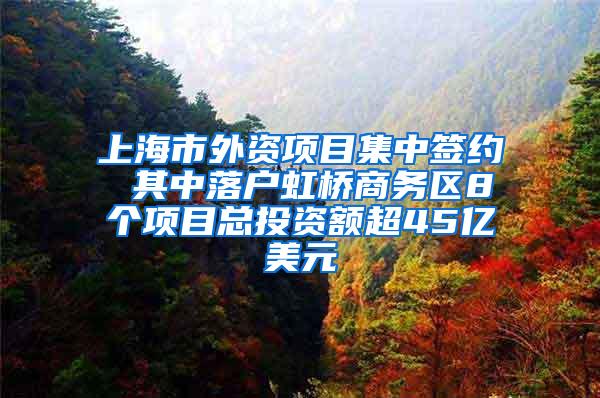 上海市外资项目集中签约 其中落户虹桥商务区8个项目总投资额超45亿美元