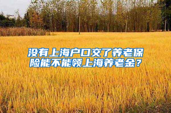 没有上海户口交了养老保险能不能领上海养老金？