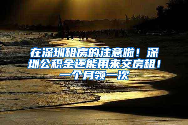 在深圳租房的注意啦！深圳公积金还能用来交房租！一个月领一次