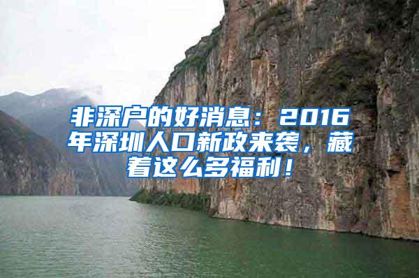 非深户的好消息：2016年深圳人口新政来袭，藏着这么多福利！