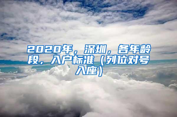 2020年，深圳，各年龄段，入户标准（列位对号入座）