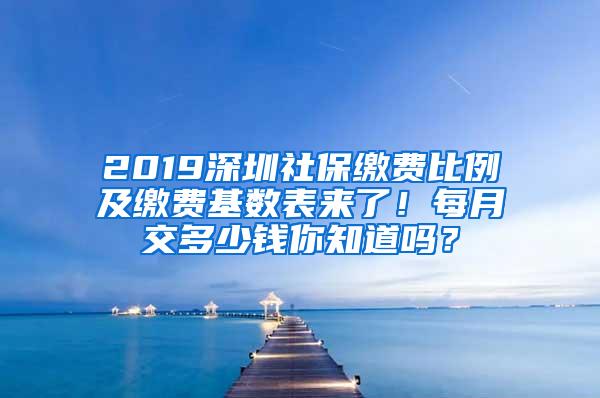 2019深圳社保缴费比例及缴费基数表来了！每月交多少钱你知道吗？