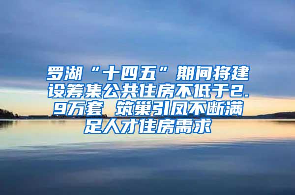 罗湖“十四五”期间将建设筹集公共住房不低于2.9万套 筑巢引凤不断满足人才住房需求