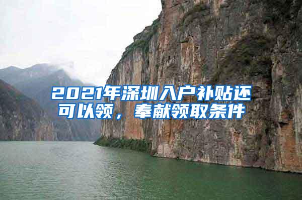 2021年深圳入户补贴还可以领，奉献领取条件