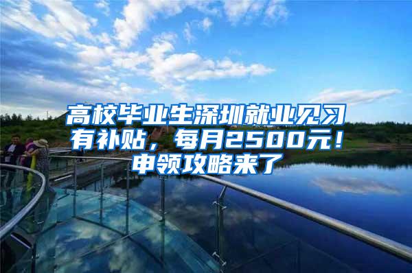 高校毕业生深圳就业见习有补贴，每月2500元！申领攻略来了