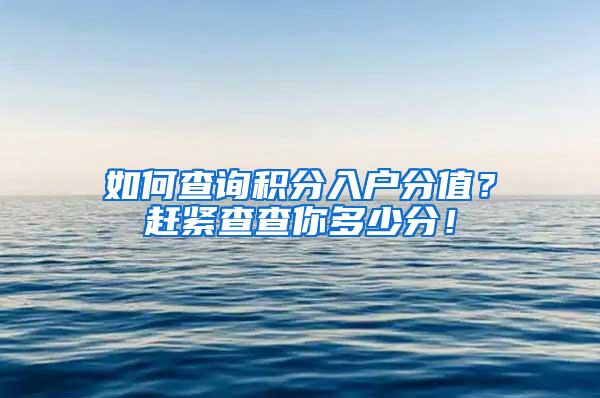 如何查询积分入户分值？赶紧查查你多少分！