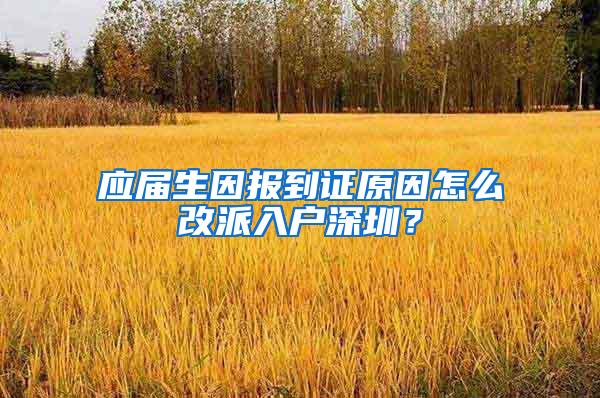 应届生因报到证原因怎么改派入户深圳？