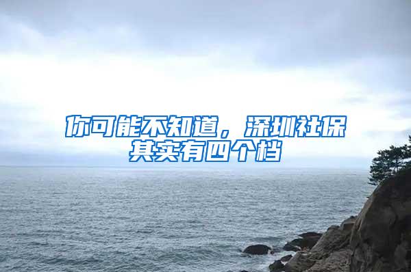 你可能不知道，深圳社保其实有四个档