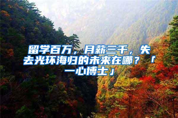 留学百万，月薪三千，失去光环海归的未来在哪？「一心博士」