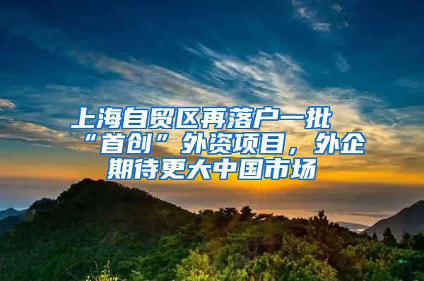 上海自贸区再落户一批“首创”外资项目，外企期待更大中国市场