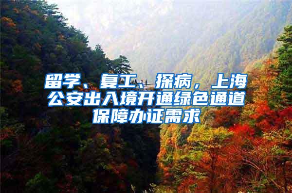 留学、复工、探病，上海公安出入境开通绿色通道保障办证需求