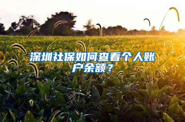 深圳社保如何查看个人账户余额？