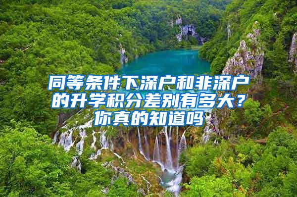 同等条件下深户和非深户的升学积分差别有多大？你真的知道吗