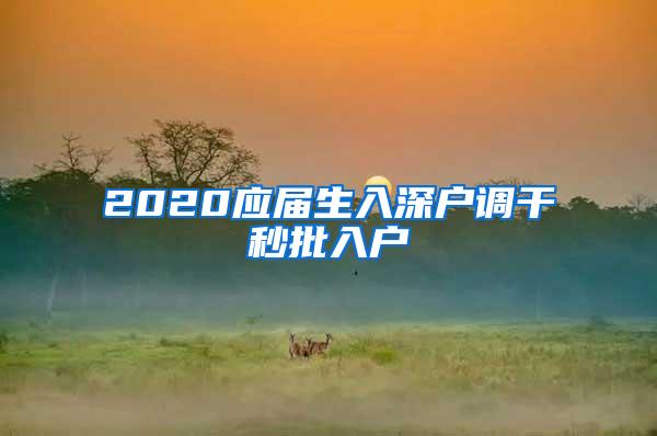 2020应届生入深户调干秒批入户