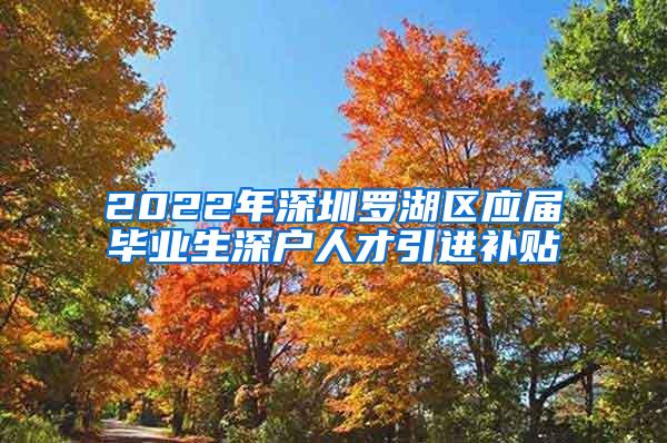 2022年深圳罗湖区应届毕业生深户人才引进补贴