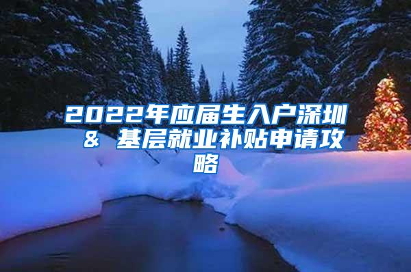 2022年应届生入户深圳 & 基层就业补贴申请攻略