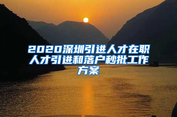 2020深圳引进人才在职人才引进和落户秒批工作方案