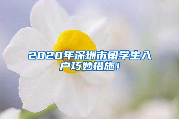 2020年深圳市留学生入户巧妙措施！