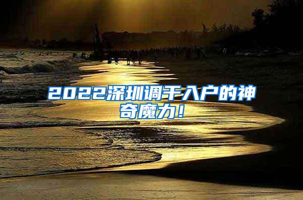 2022深圳调干入户的神奇魔力！