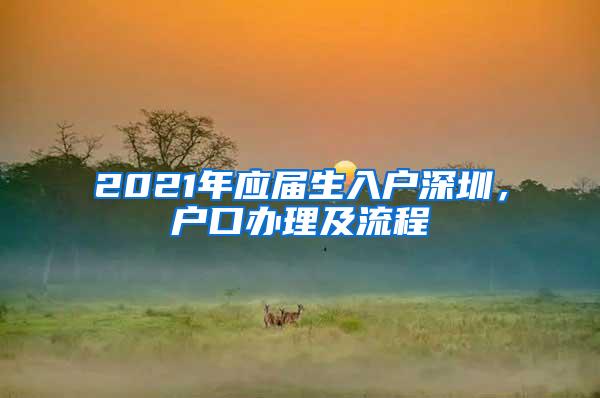 2021年应届生入户深圳，户口办理及流程