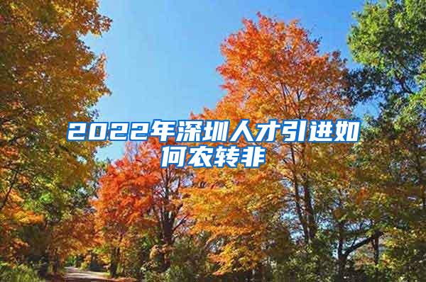 2022年深圳人才引进如何农转非