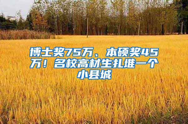 博士奖75万、本硕奖45万！名校高材生扎堆一个小县城